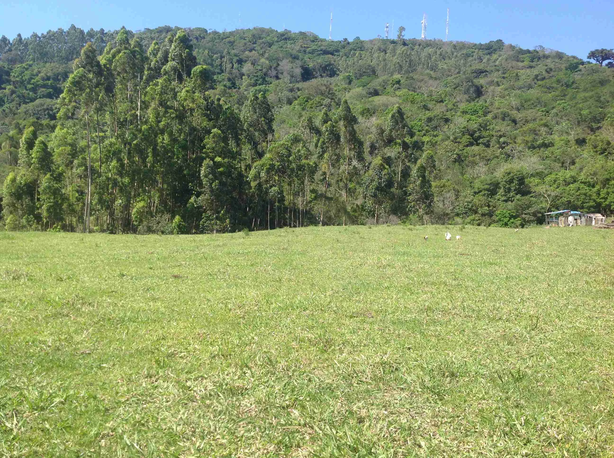 Terreno Sítio 047