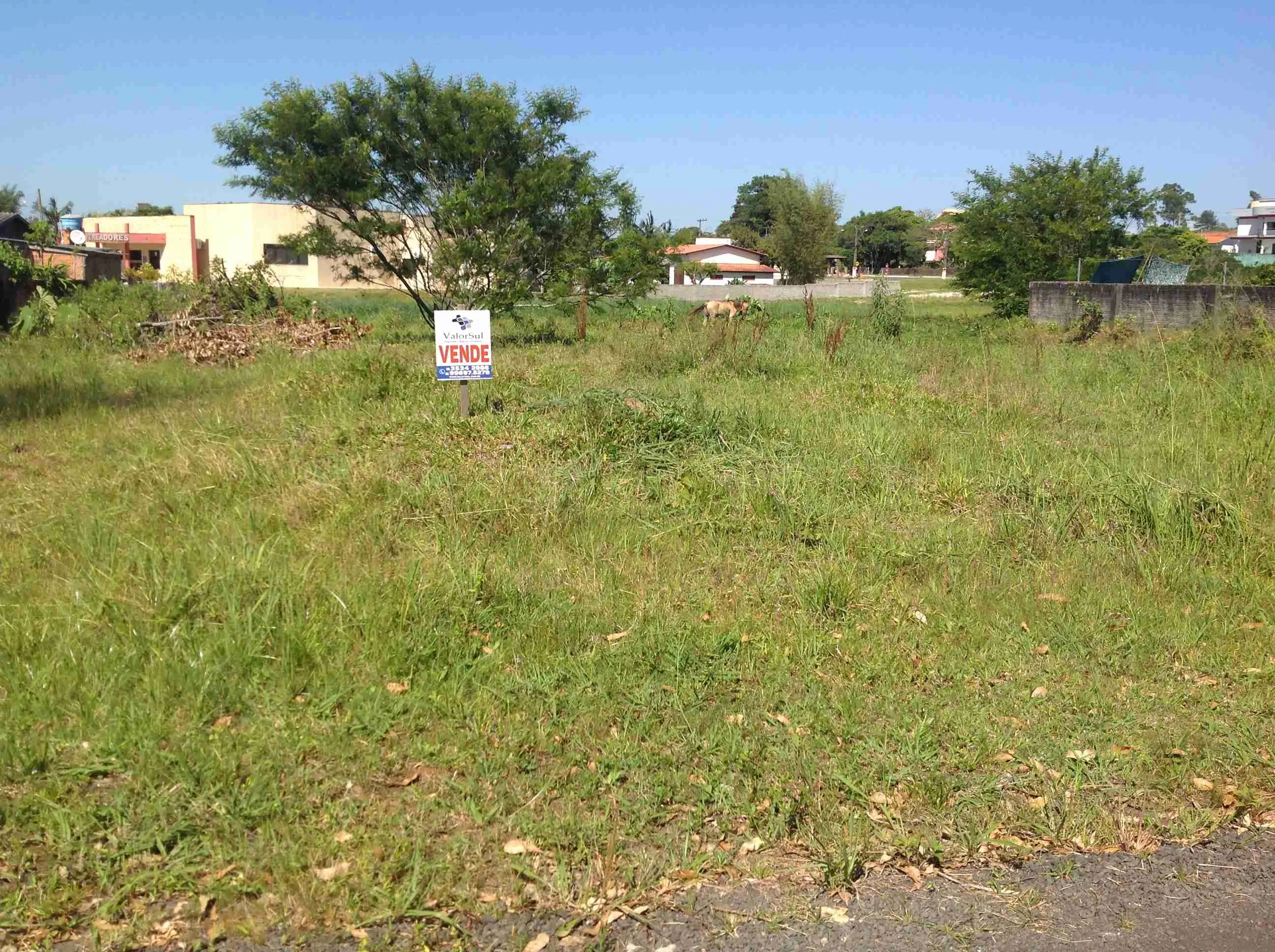 Lote urbano 025