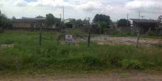 Lote 055