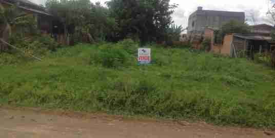 Lote 56