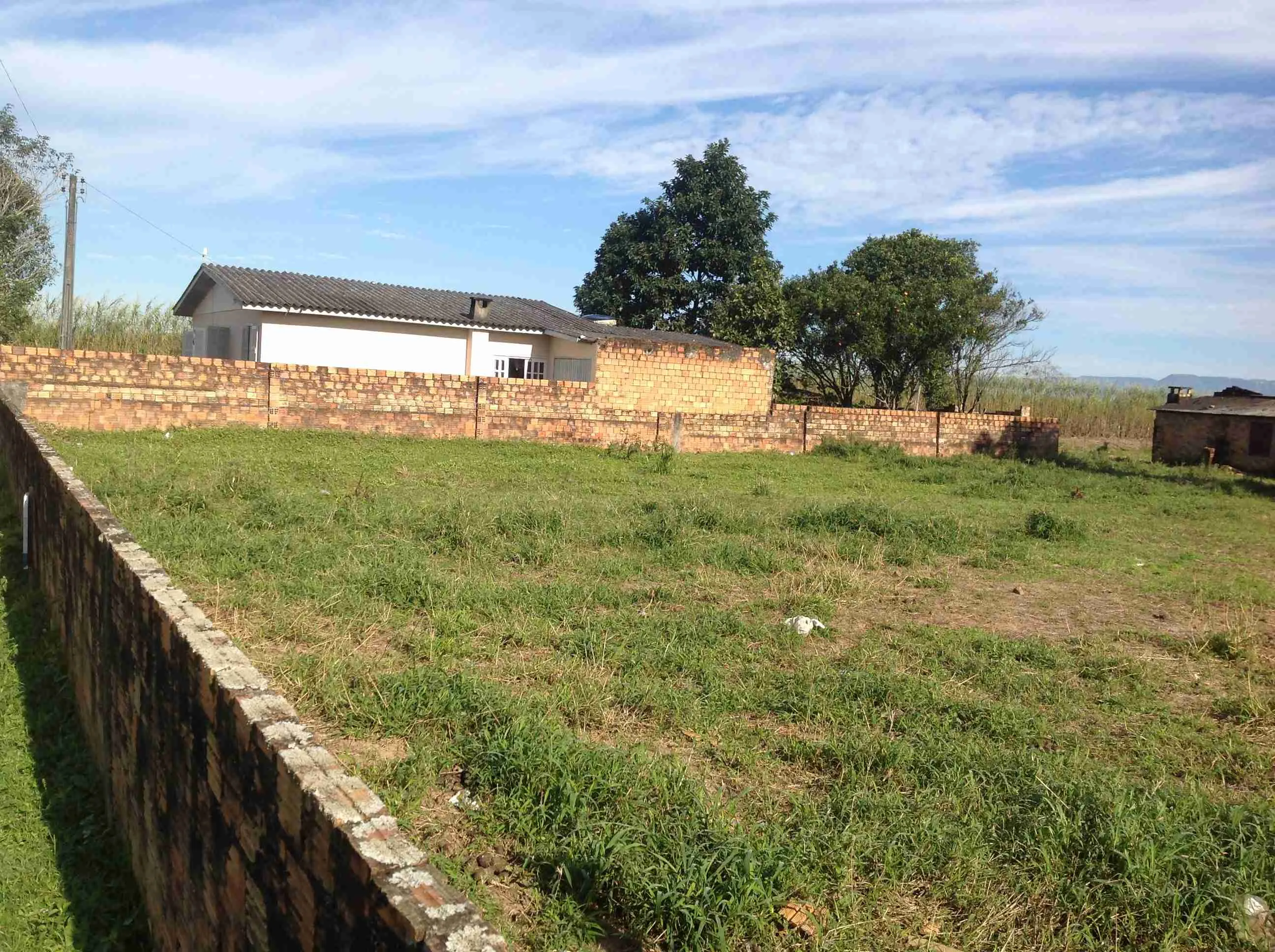 Lote (107)