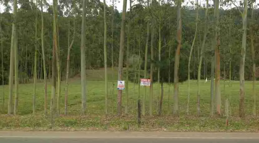 IMG_7742