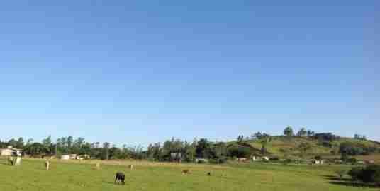 Imóvel (132) Terreno rural 7,50 há,0,5 há c/ cana de açúcar,restante pastagem nativa,galpão 6×12,açude toda cercada 6 fios de arame,parte frontal c/sarrafos banhado em óleo p/ proteção,apenas 1,5 km centro da cidade asfalto em frente,potencial desmembrar p/ sítios.