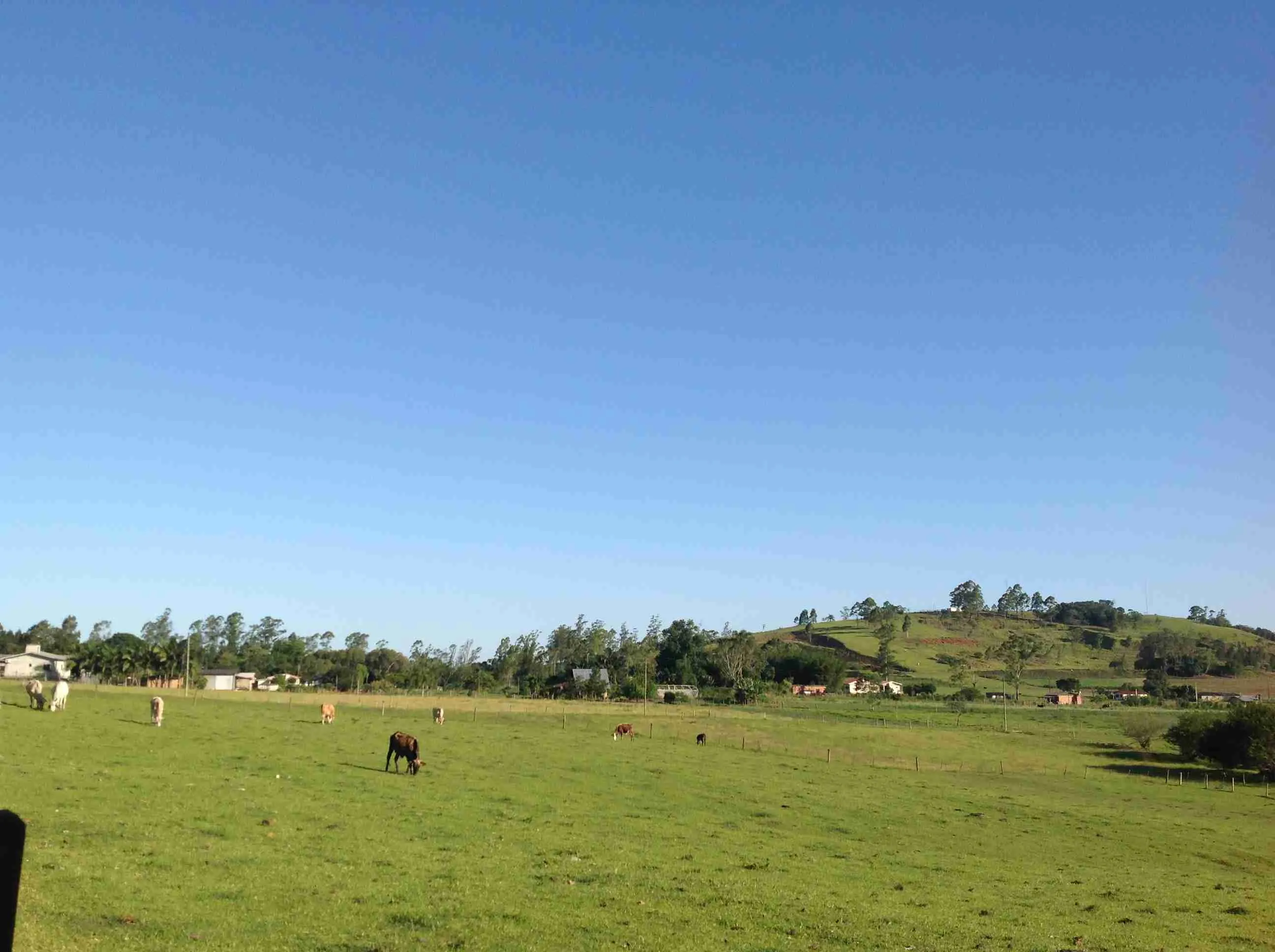 Imóvel (132) Terreno rural 7,50 há,0,5 há c/ cana de açúcar,restante pastagem nativa,galpão 6×12,açude toda cercada 6 fios de arame,parte frontal c/sarrafos banhado em óleo p/ proteção,apenas 1,5 km centro da cidade asfalto em frente,potencial desmembrar p/ sítios.